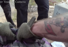 The cumulative stress of policing has public safety consequences for law enforcement officers, too