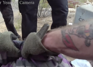 The cumulative stress of policing has public safety consequences for law enforcement officers, too